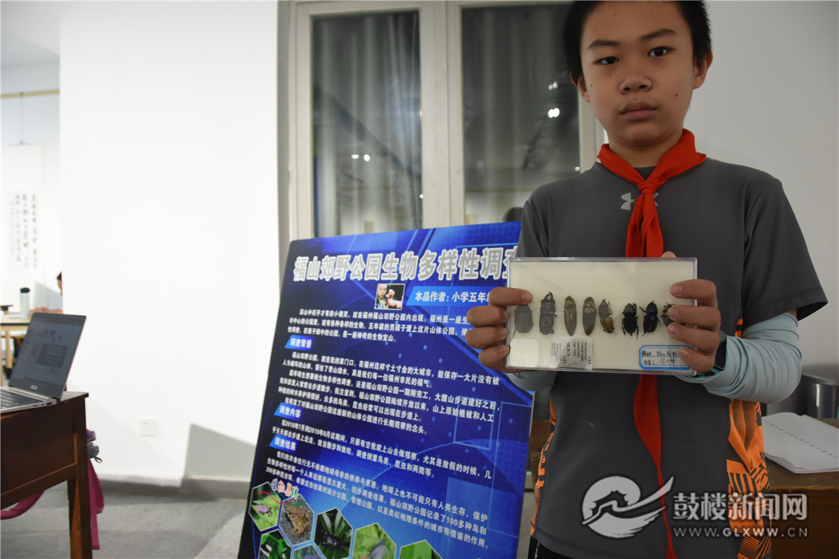 第十七屆福州市鼓樓區青少年科技創新大賽成功舉辦
