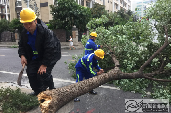 東街街道街道城管中隊(duì)和環(huán)衛(wèi)站工作人員對(duì)沿街倒伏在地的行道樹第一時(shí)間進(jìn)行搬離.png
